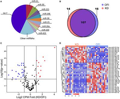 MiR-222-3p in Platelets Serves as a Distinguishing Marker for Early Recognition of Kawasaki Disease